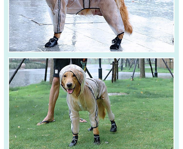 Big Dog Raincoat – Built for Rainy Adventures - EzPets Shop