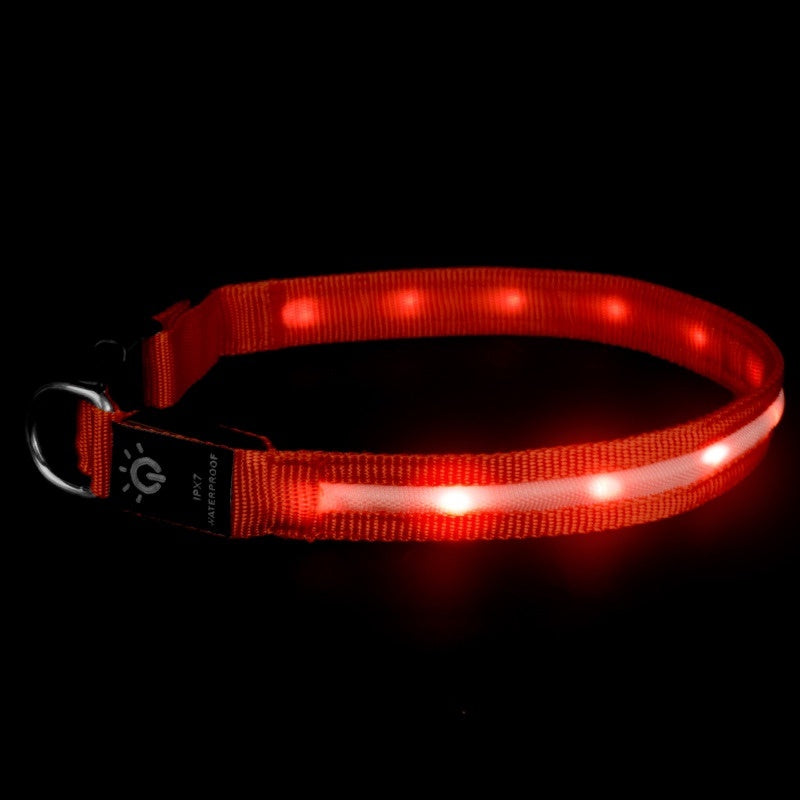 Waterproof LED Pet Collar – Night Safety Glow - EzPets Shop