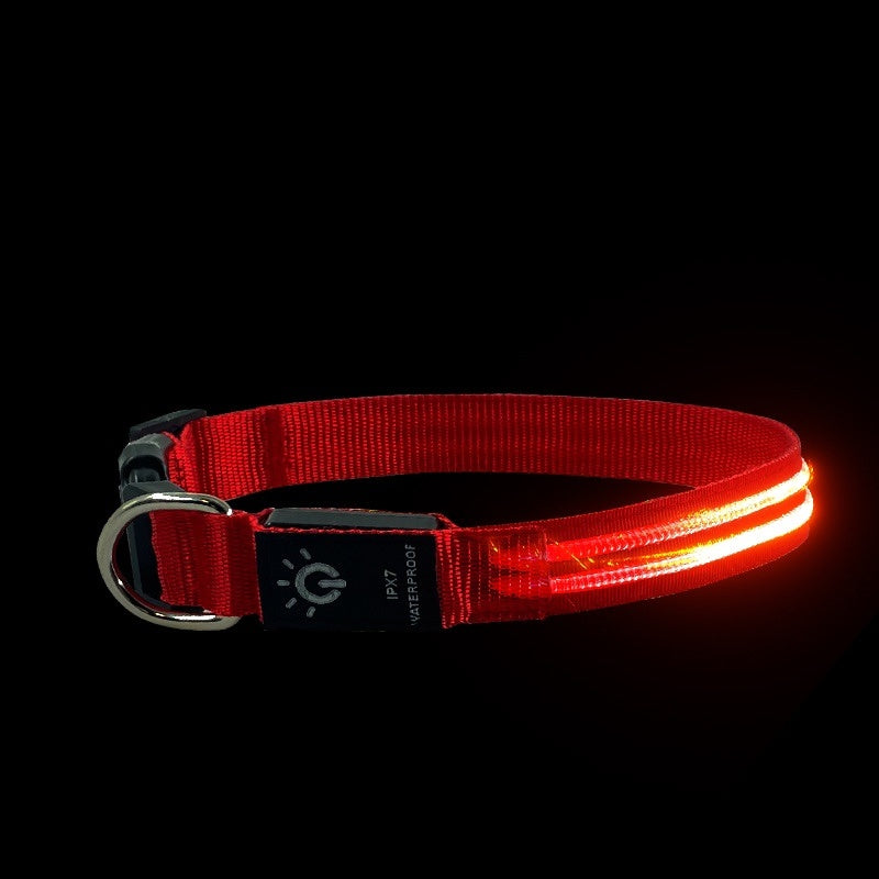 Waterproof LED Pet Collar – Night Safety Glow - EzPets Shop