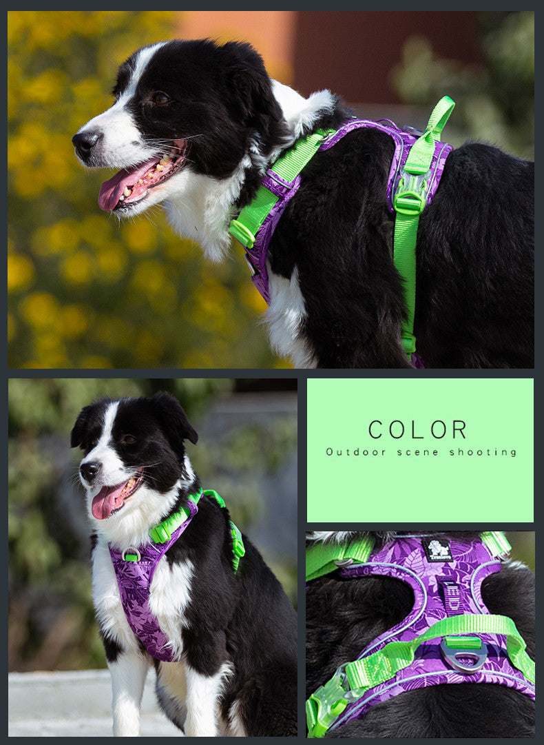 Chain Dog Leash Vest – Stylish & Secure Combo - EzPets Shop