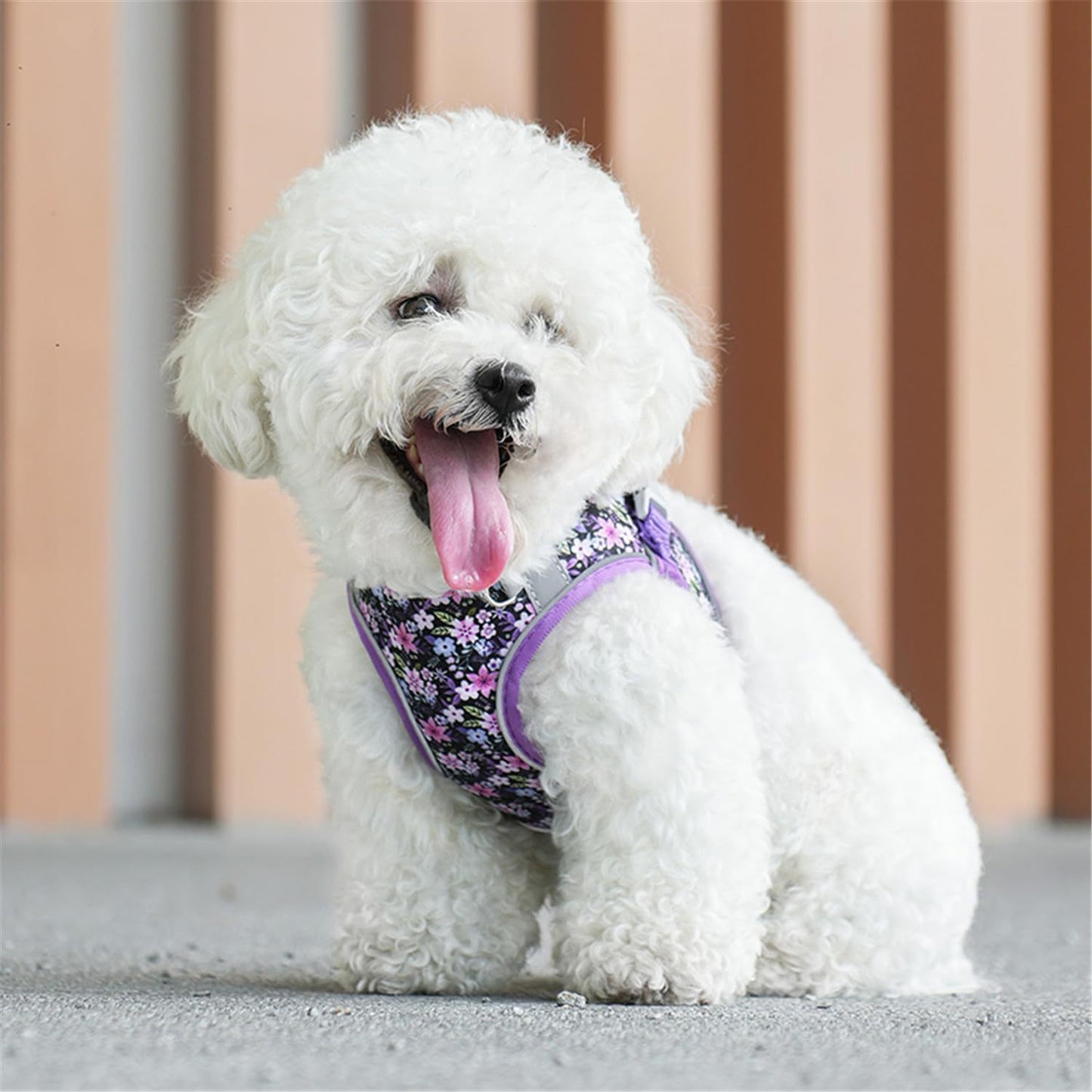 No-Pull Dog Harness with Leash - EzPets Shop