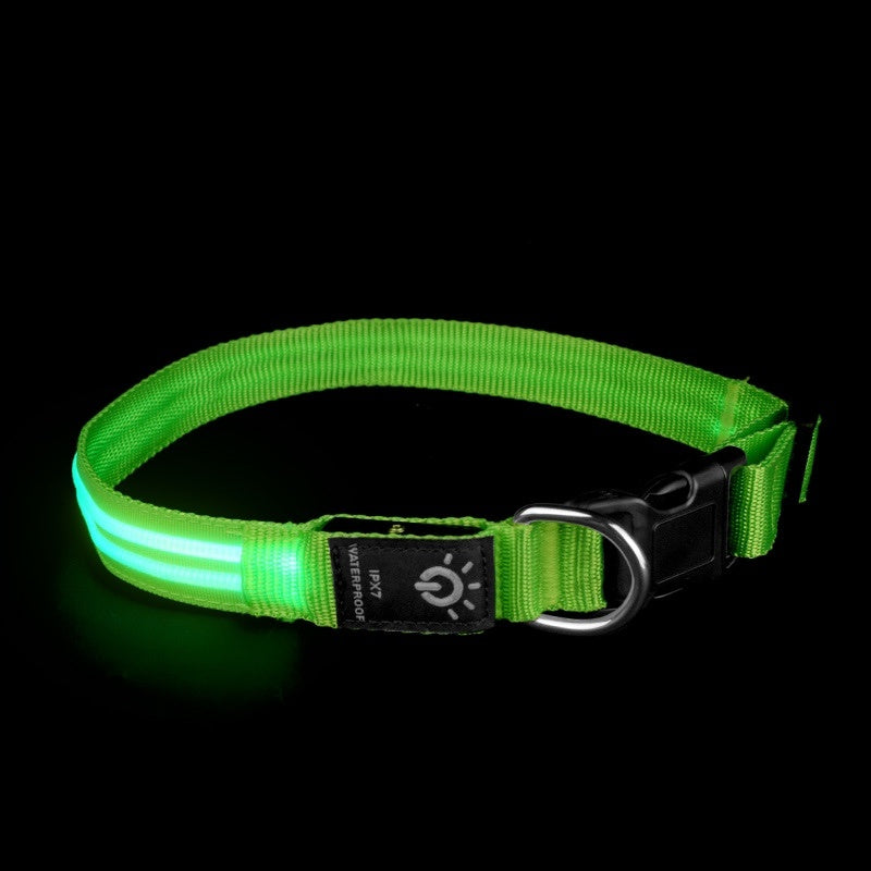 Waterproof LED Pet Collar – Night Safety Glow - EzPets Shop