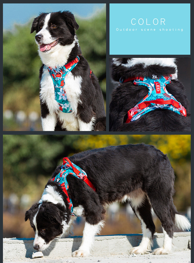 Chain Dog Leash Vest – Stylish & Secure Combo - EzPets Shop