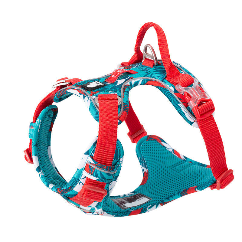 Chain Dog Leash Vest – Stylish & Secure Combo - EzPets Shop