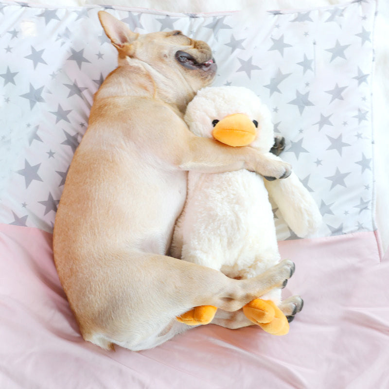 Soft Dog Plush – Perfect for Snuggles & Play