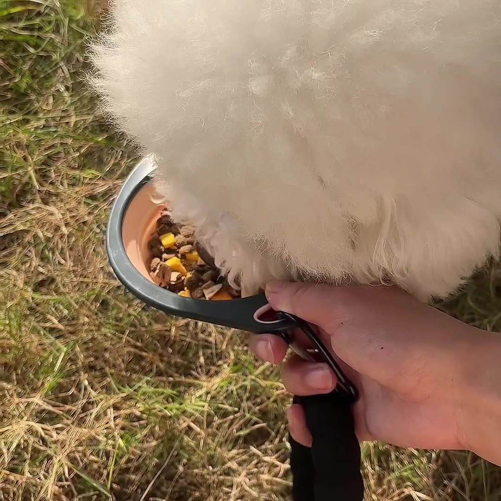 Collapsible Pet Bowl – Easy Feeding on the Go - EzPets Shop