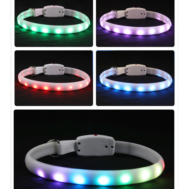 LED Dog Collar – Night Walk Safety & Style - EzPets Shop