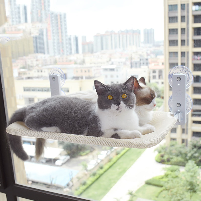Cat Window Hammock – Strong Suction, Cozy View - EzPets Shop