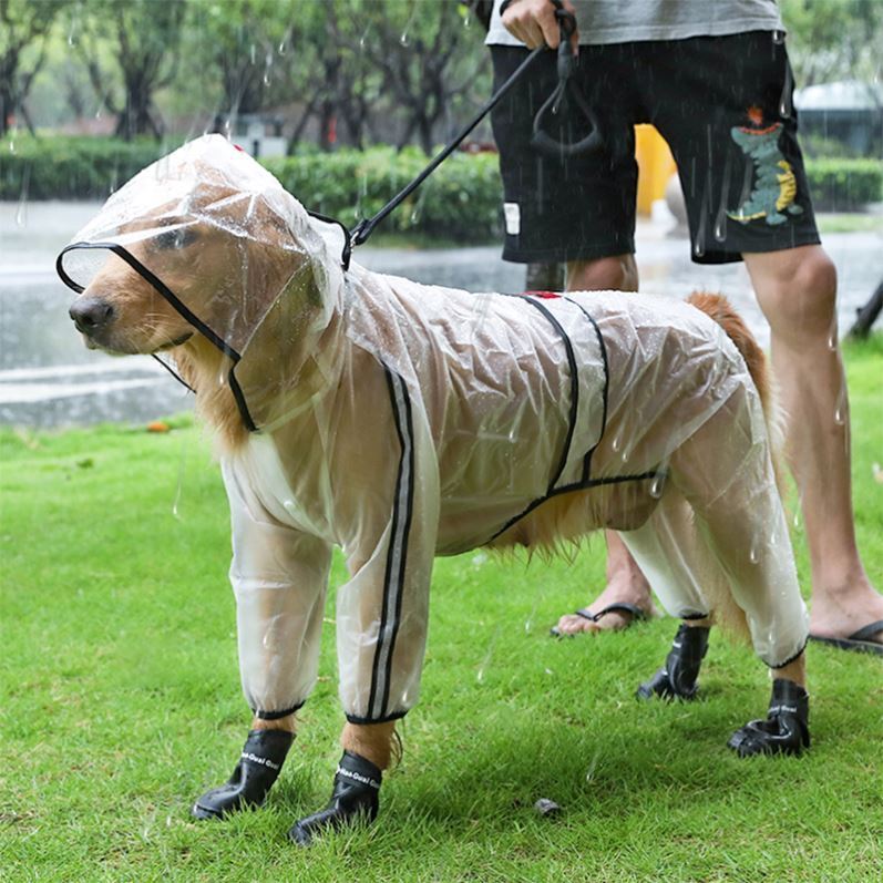 Big Dog Raincoat – Built for Rainy Adventures - EzPets Shop