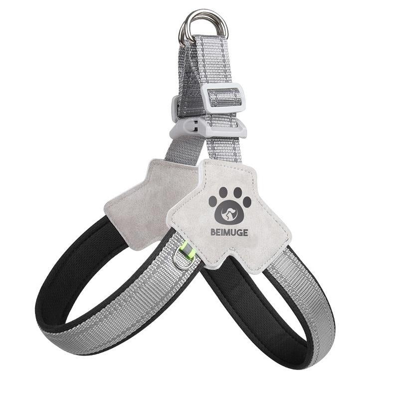 Adjustable Dog & Cat Harness Set - EzPets Shop