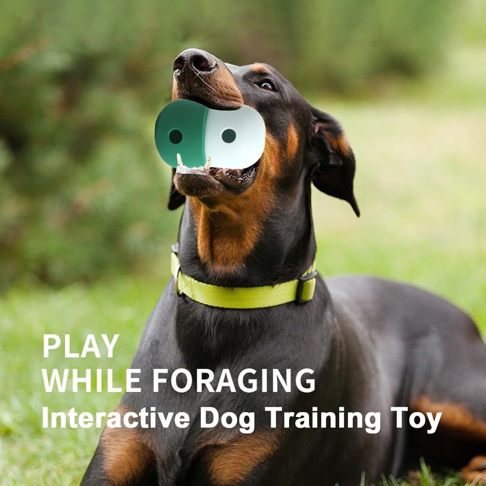 Treat Dispensing Toy – Fun & Training in One - EzPets Shop