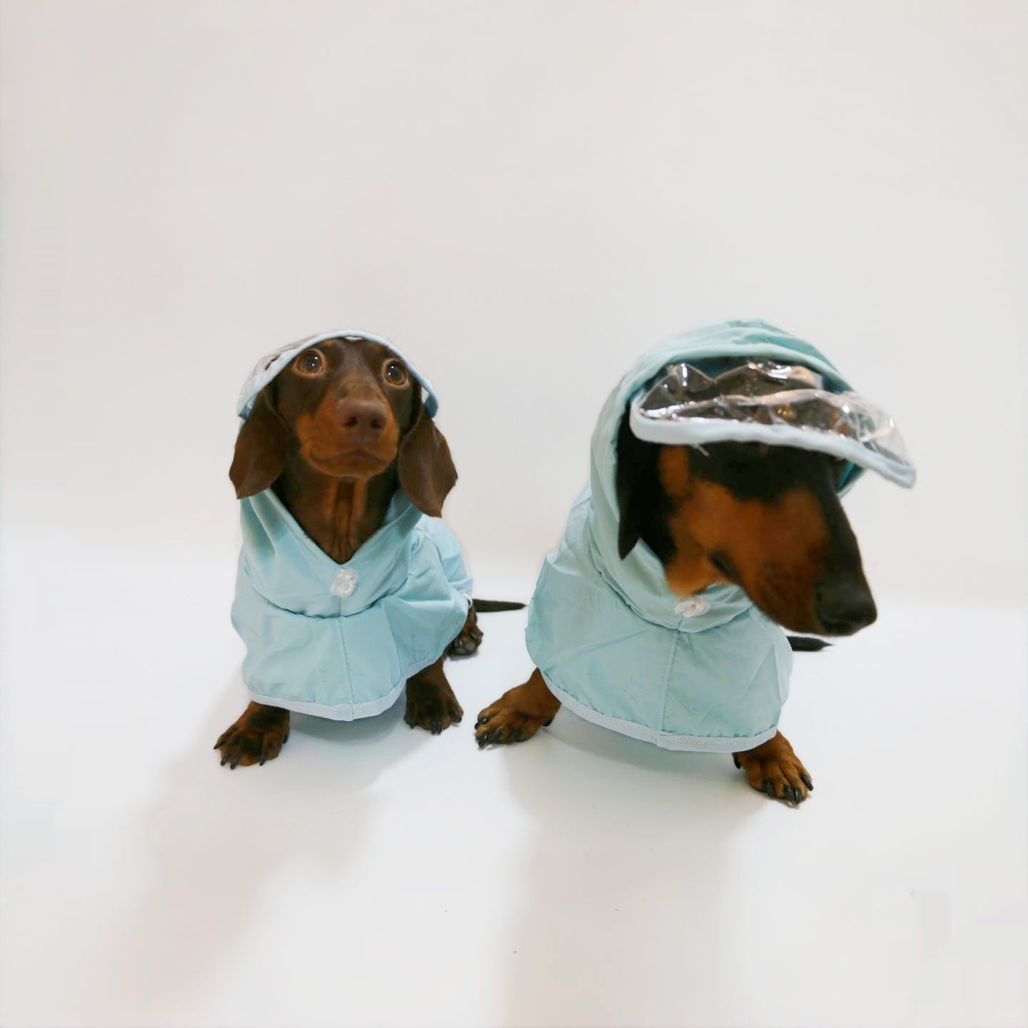 Pup Poncho with Hood – Stay Dry in Style! - EzPets Shop