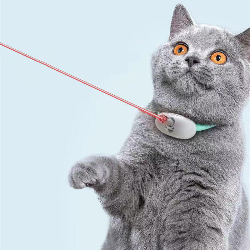 USB Laser Cat Collar – Smart Play for Active Kittens - EzPets Shop