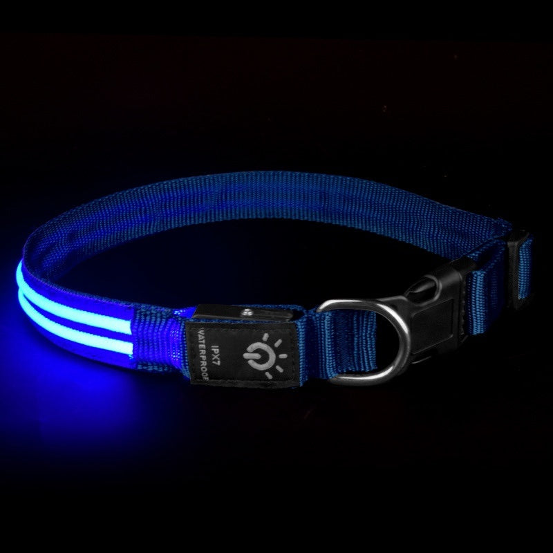 Waterproof LED Pet Collar – Night Safety Glow - EzPets Shop