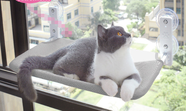 Cat Window Hammock – Strong Suction, Cozy View - EzPets Shop