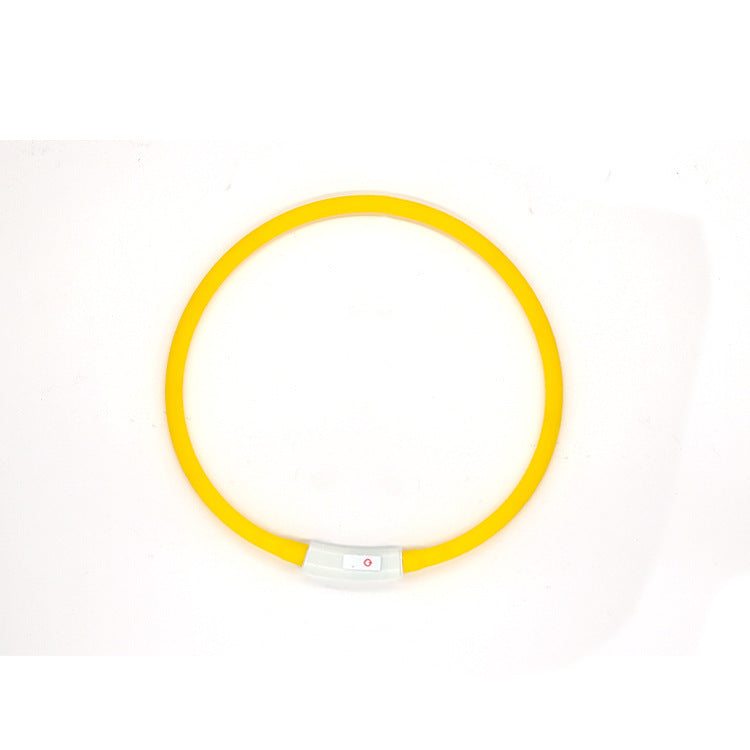 Fashion LED Dog Collar – Light Up in Style - EzPets Shop