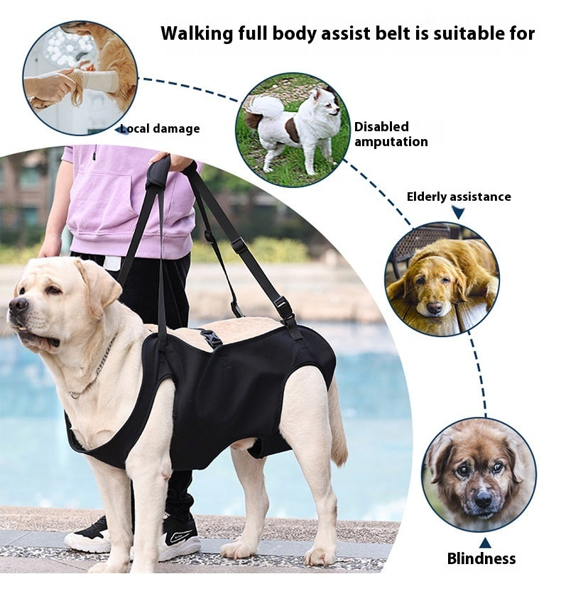 Support Strap – Help Injured Dogs Walk with Ease - EzPets Shop