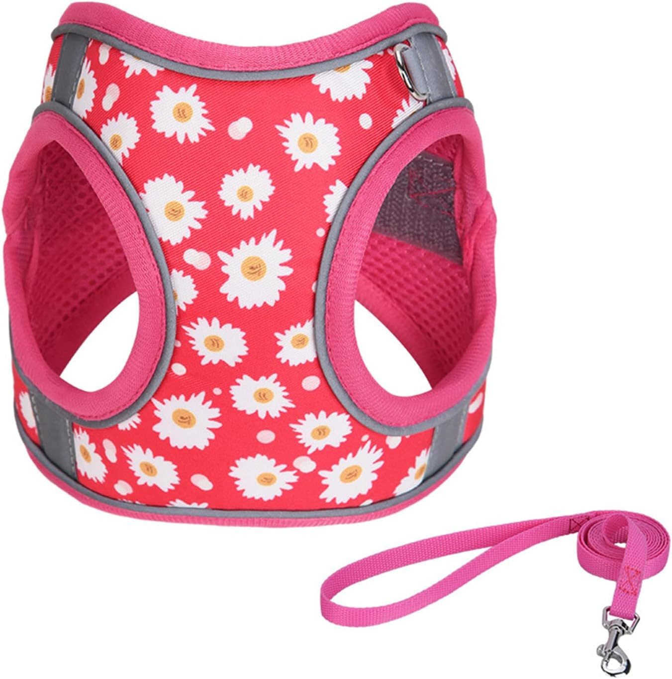 No-Pull Dog Harness with Leash - EzPets Shop