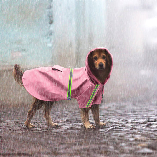 10 Best Dog Raincoats for Small Breeds in 2025
