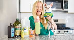 EZ Pets: The Pet Shop That Puts Your Pet First