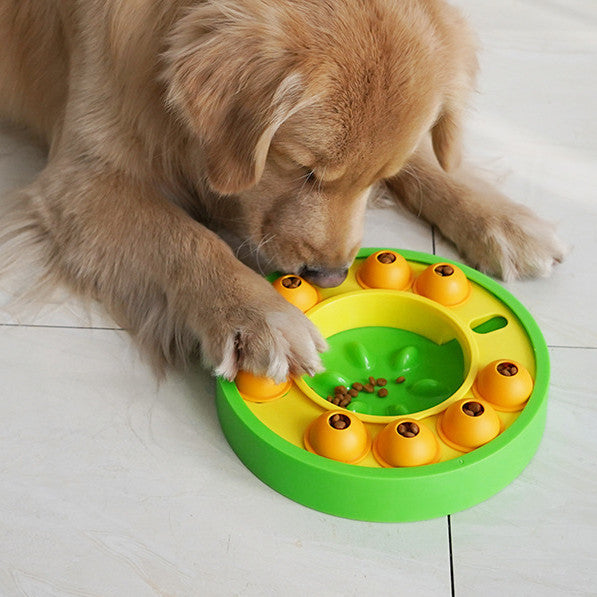 Puzzle Bowl for Smart, Slower Eating Dogs - EzPets Shop