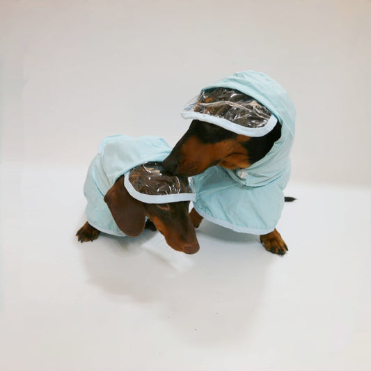 Pup Poncho with Hood – Stay Dry in Style! - EzPets Shop