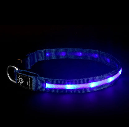 Waterproof LED Pet Collar – Night Safety Glow - EzPets Shop