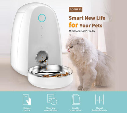 Smart WiFi Feeder – Feed Pets from Your Phone - EzPets Shop