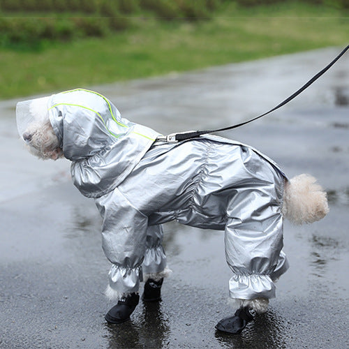 Teddy’s Rain Suit – Waterproof & Adorable - EzPets Shop