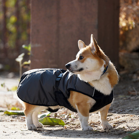 Raincoat for Dogs – Simple & Splash-Proof - EzPets Shop
