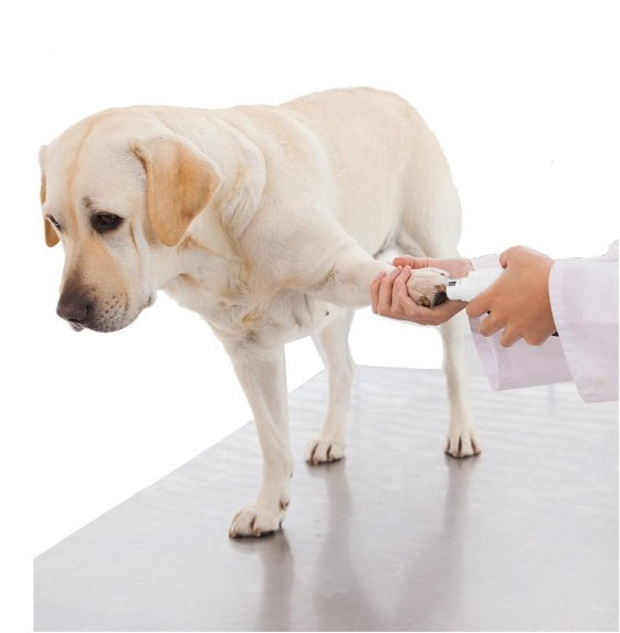 UEETEK Nail Grinder – Rechargeable & Painless Grooming - EzPets Shop
