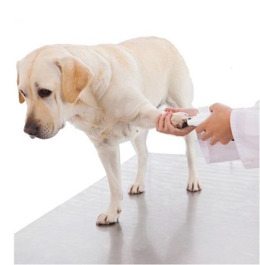 UEETEK Nail Grinder – Rechargeable & Painless Grooming - EzPets Shop