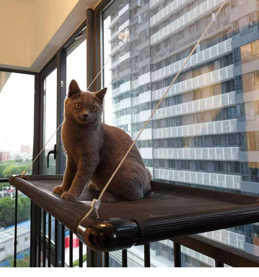 Modular Cat Hammock – Easy Splice & Stick - EzPets Shop