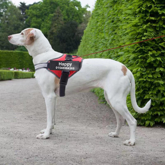 Custom Reflective No-Pull Dog Harness - EzPets Shop