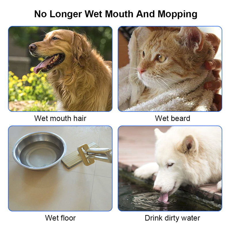 Hydrating Pet Fountain, No Spills - EzPets Shop