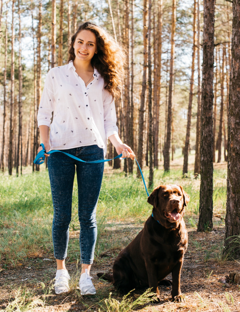 Dog Leashes