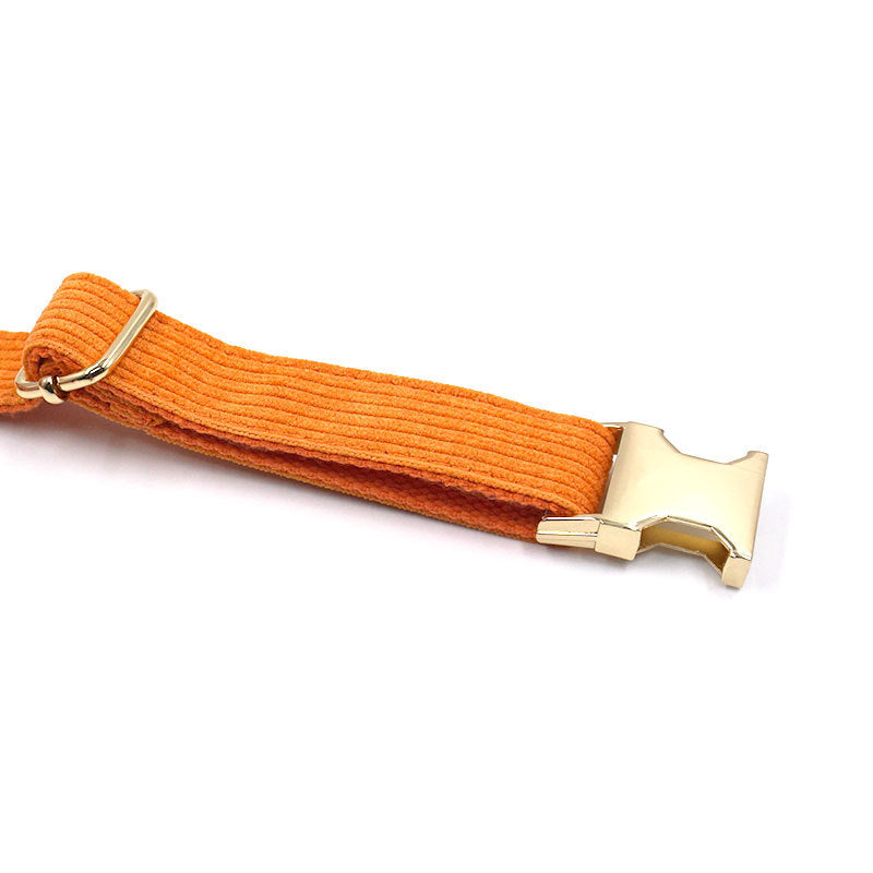 Corduroy Dog Collar – Soft, Strong, and Stylish - EzPets Shop