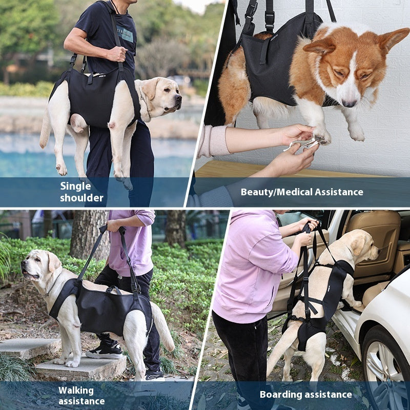 Support Strap – Help Injured Dogs Walk with Ease - EzPets Shop
