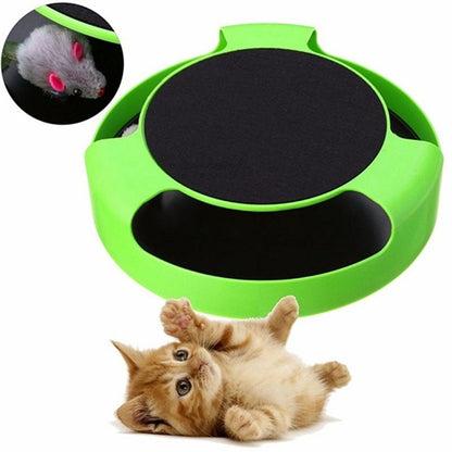 Fast Pounce Toy – Let Cats Chase & Catch - EzPets Shop