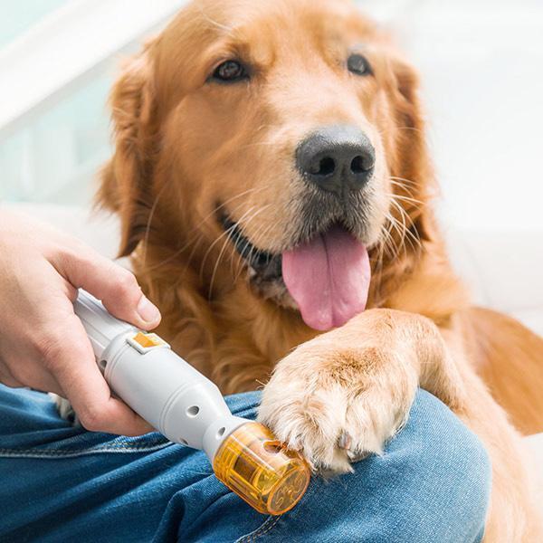 Pro Nail Trimmer – Grinder + Claw Scissors Combo - EzPets Shop
