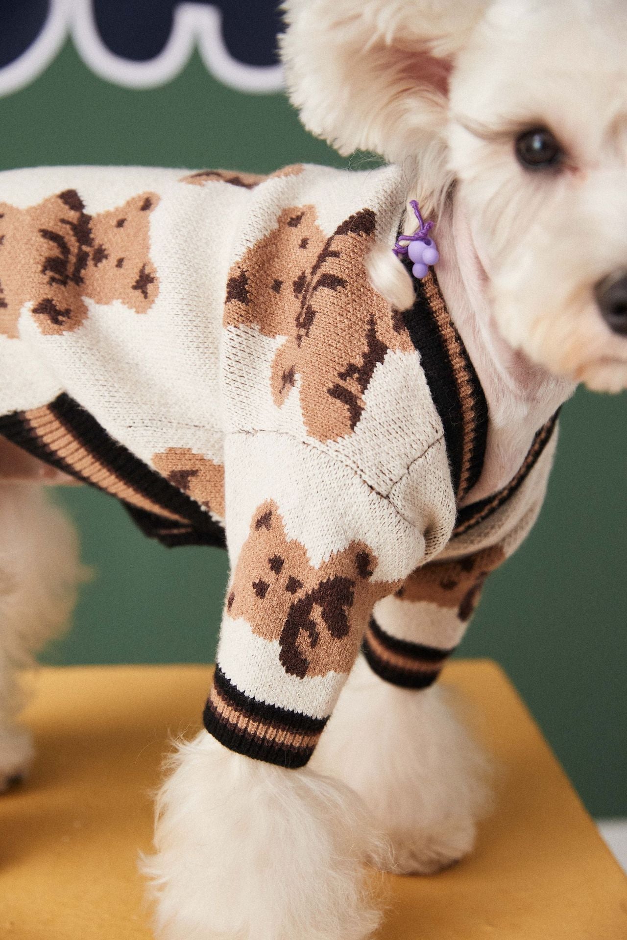 Preppy Pet Sweater – Warm V-Neck Striped Style - EzPets Shop