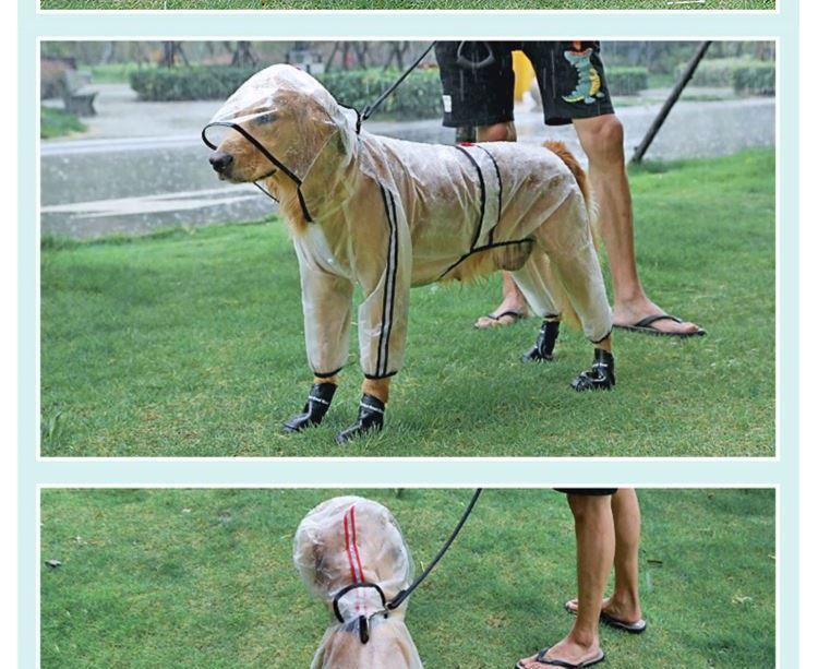 Big Dog Raincoat – Built for Rainy Adventures - EzPets Shop