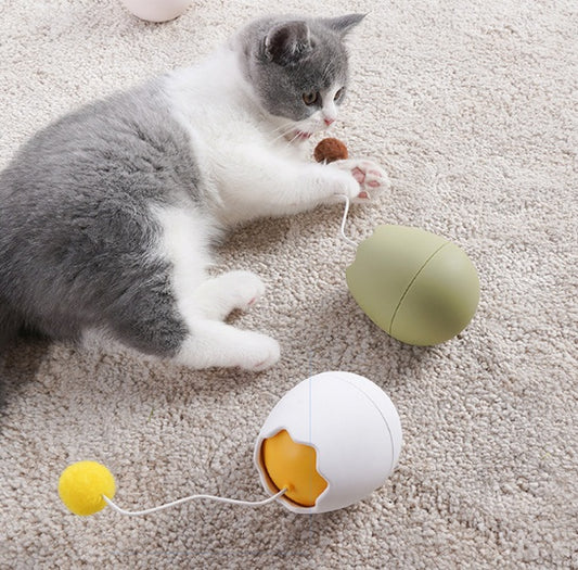 Funny Cat Toy – Pure Feline Entertainment - EzPets Shop