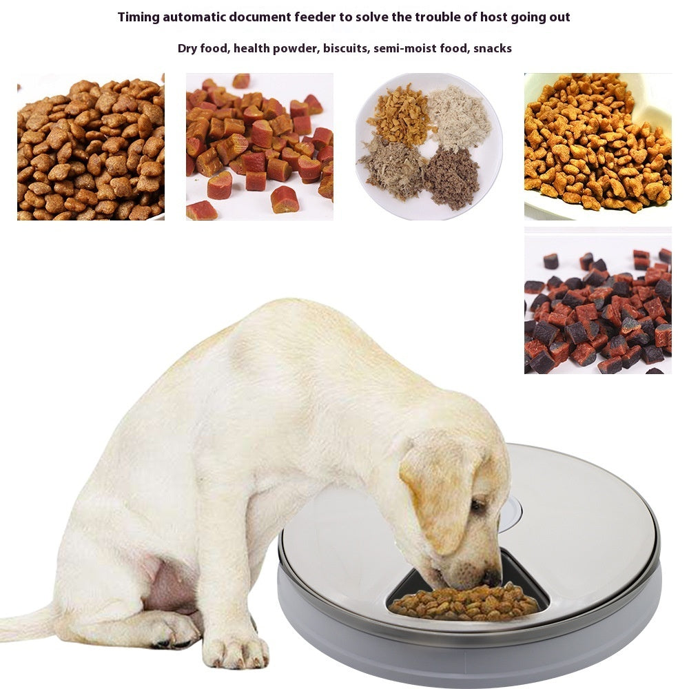 Auto Timer Feeder – Feed with Precision - EzPets Shop