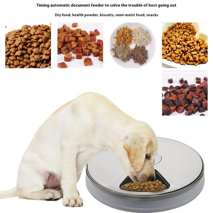 Auto Timer Feeder – Feed with Precision - EzPets Shop