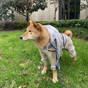 Big Dog Raincoat – Built for Rainy Adventures - EzPets Shop