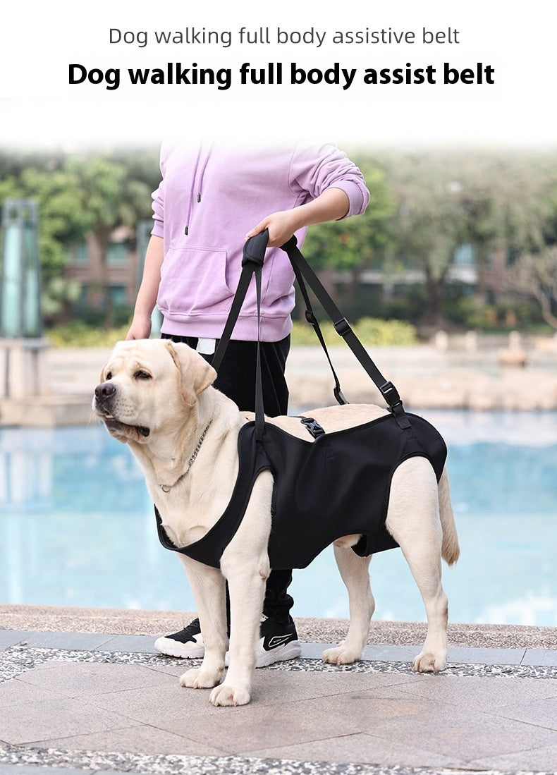 Support Strap – Help Injured Dogs Walk with Ease - EzPets Shop