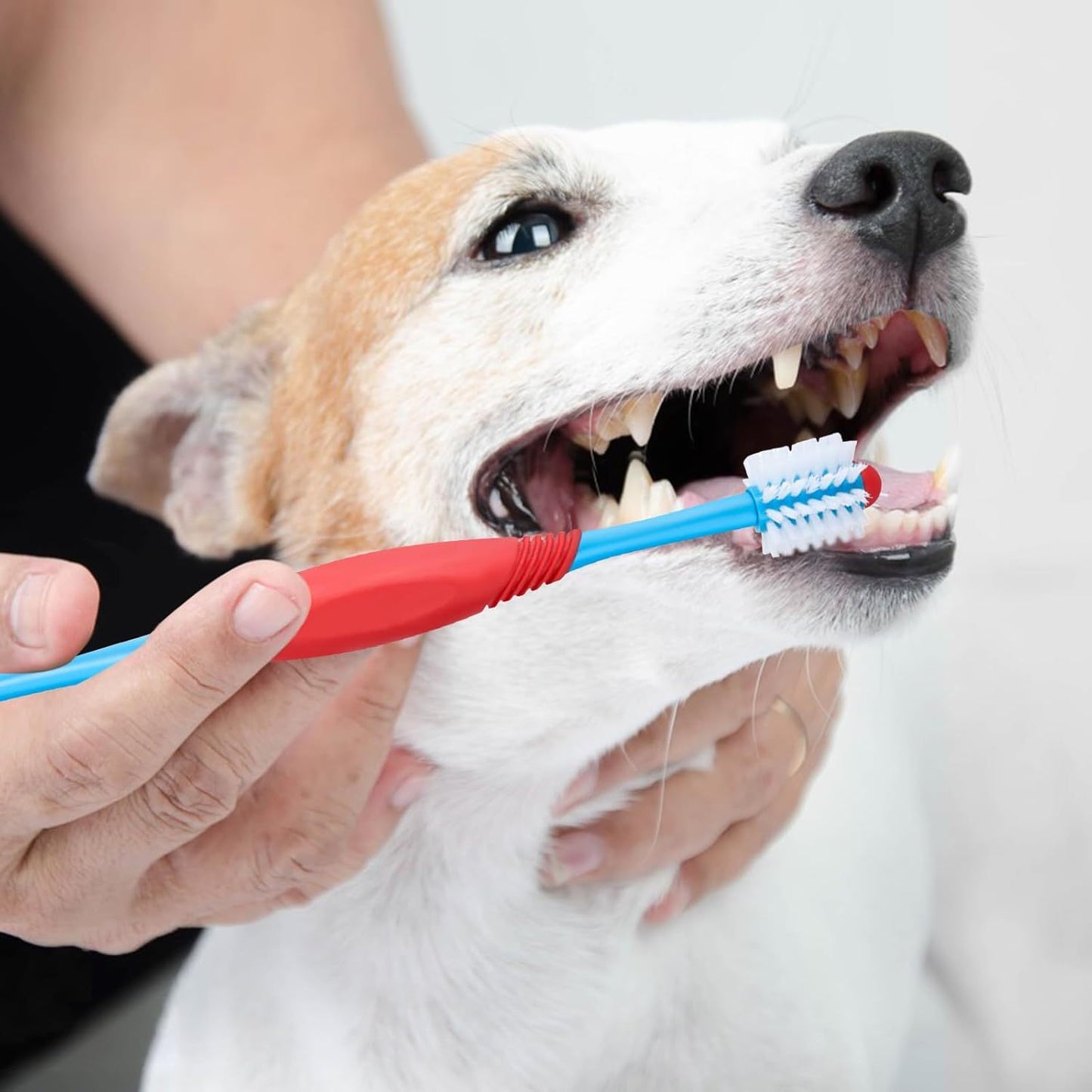 360° Dog Toothbrush – Dual-Head, Non-Slip Grip - EzPets Shop
