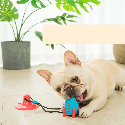 Durable Rocket Chew – Bite, Play, and Snack! - EzPets Shop