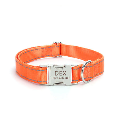 Reflective Nylon Dog Collar – Safe Walks, Day & Night - EzPets Shop